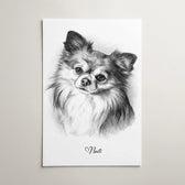 katzenportrait-als-poster-personalisiert