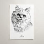 katzenportrait-als-poster-personalisiert
